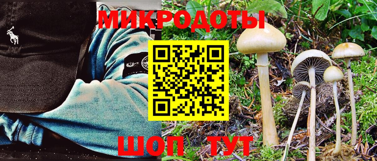 Псилоцибиновые грибы GOLDEN TEACHER Краснознаменск