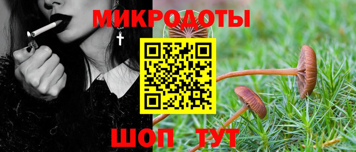 Псилоцибиновые грибы мицелий  Вход с VPN  Краснознаменск 